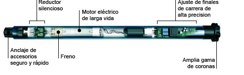 Motor